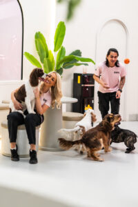 Dog Boarding